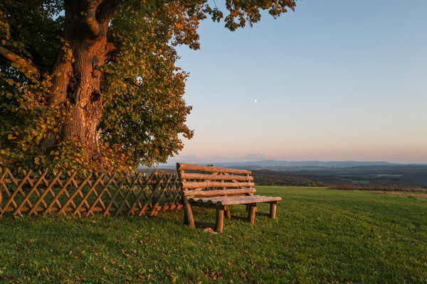 Schierschwende