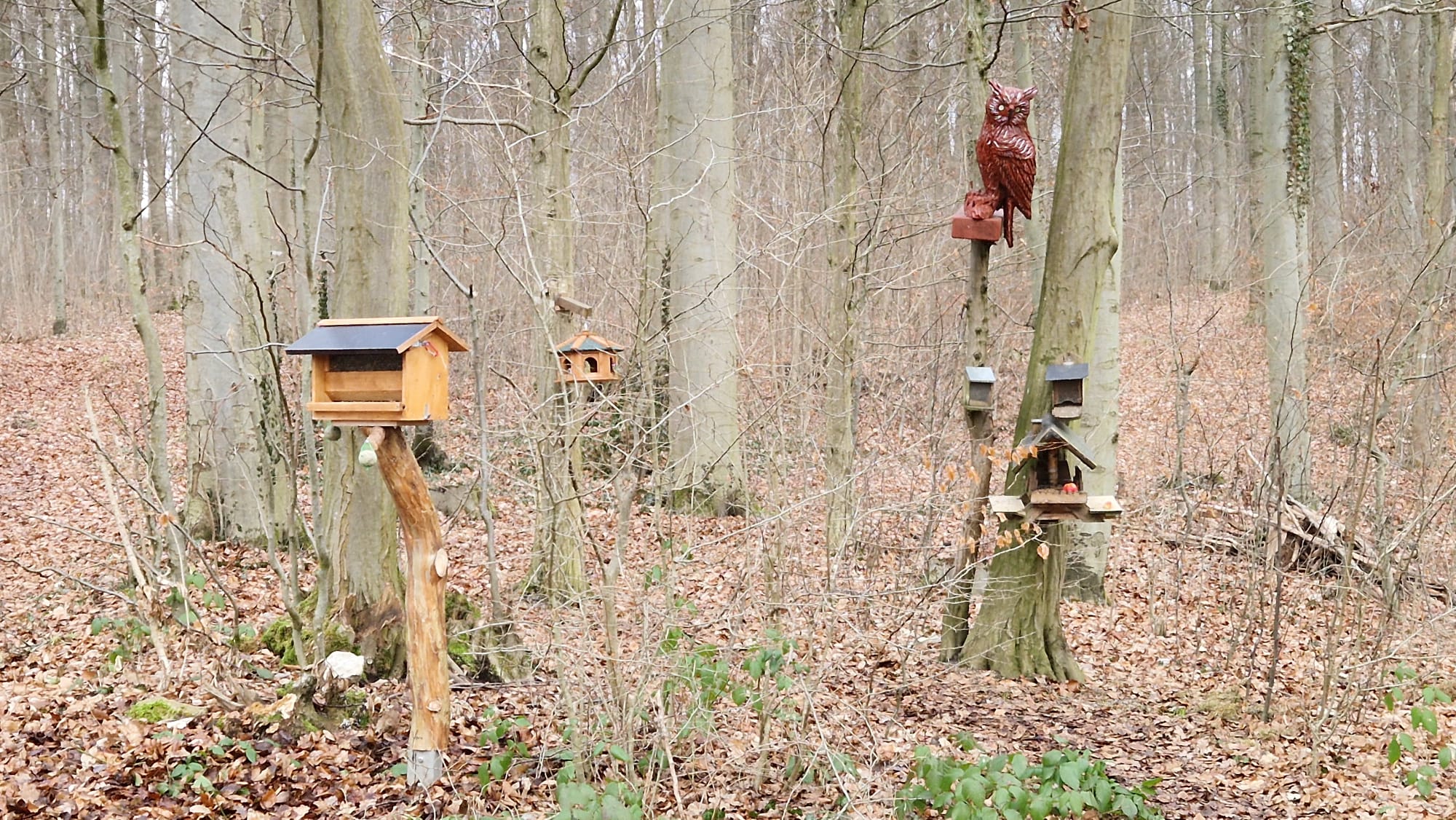 Vogelparadies